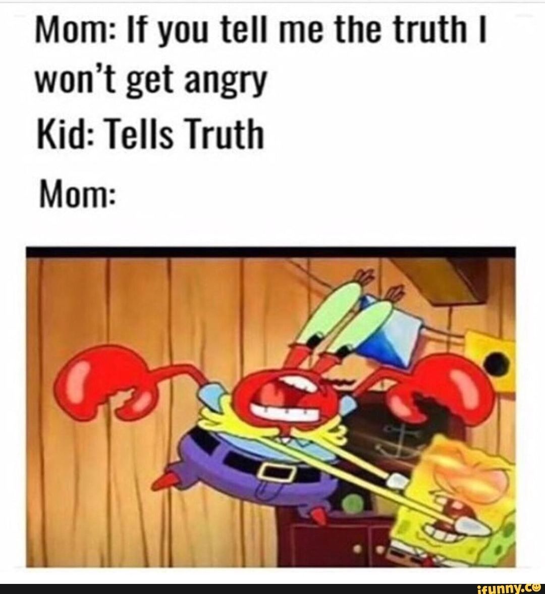 LIES MOM TELLS YOU LIES - meme