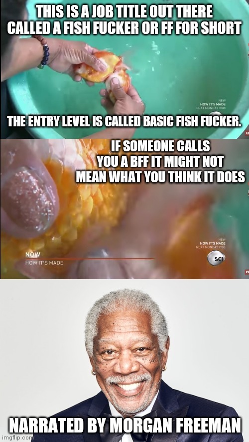 My best friend has been calling me a basic fish fucker for years and I didn't even realize - meme