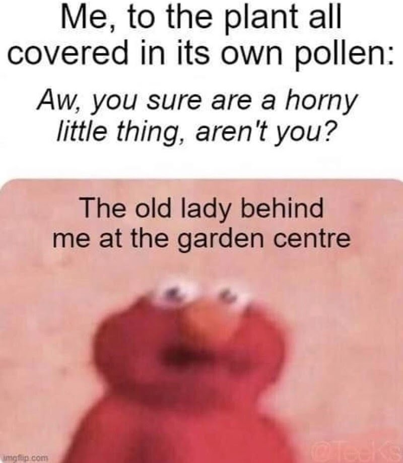 You take it from just any plant - meme