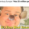 real estate rats