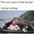 The cat is part of the family
