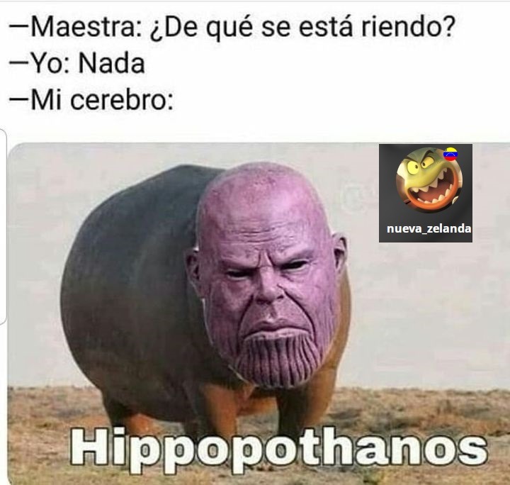 Thanos + un hipopotamo = Hippopothanos - meme