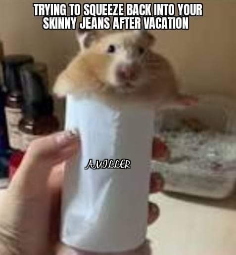 Skinny Jeans - meme