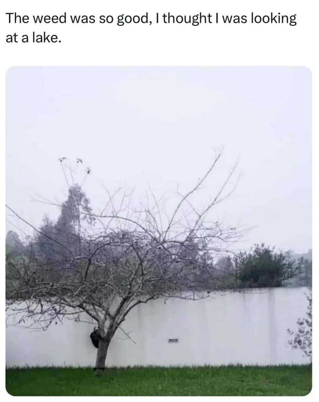 That weed hit so hard I started seeing lakes in sidewalks - meme