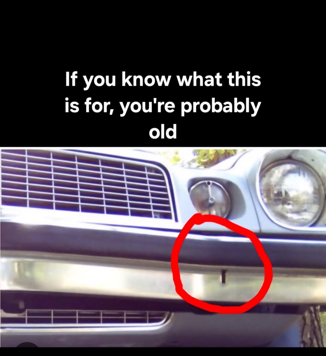 Old as me - meme