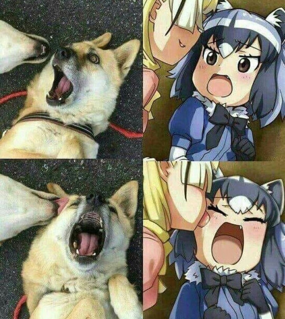 Don't lewd dogs - meme