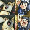 Don't lewd dogs