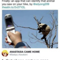 You high to use dat phon for knowing dat it is a panda