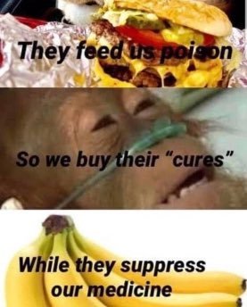 dongs in a cure - meme