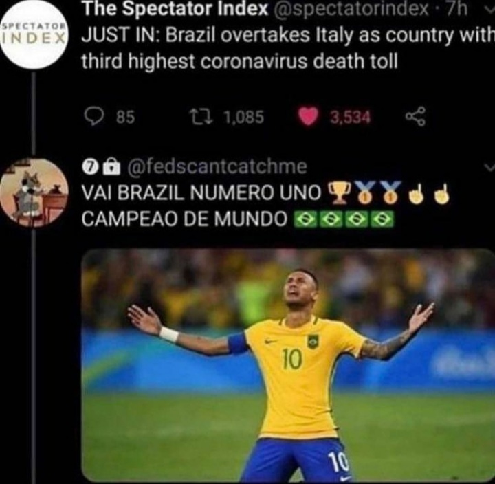 Brazil campeao de mundo - meme