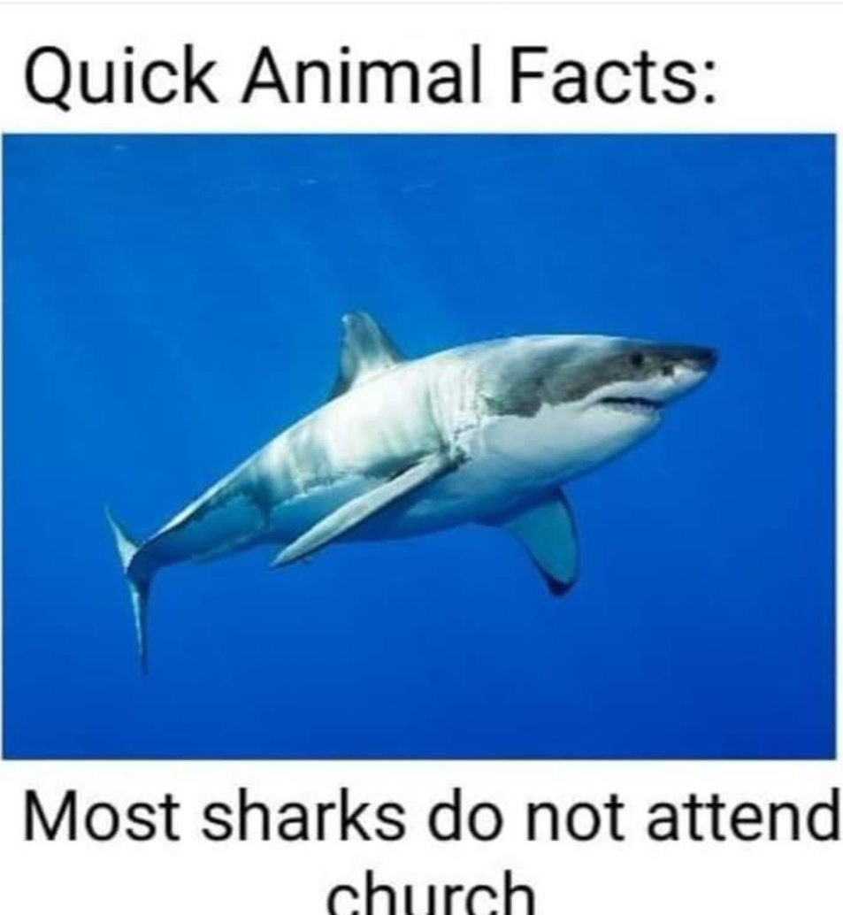 The best Animal Facts memes :) Memedroid
