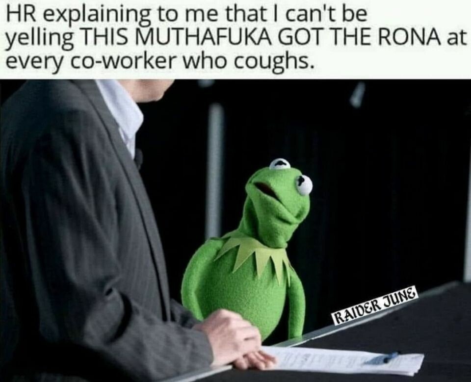Kermit had never heard such bullshit - meme
