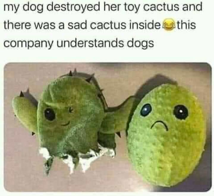 Repost ? I don't remember - meme