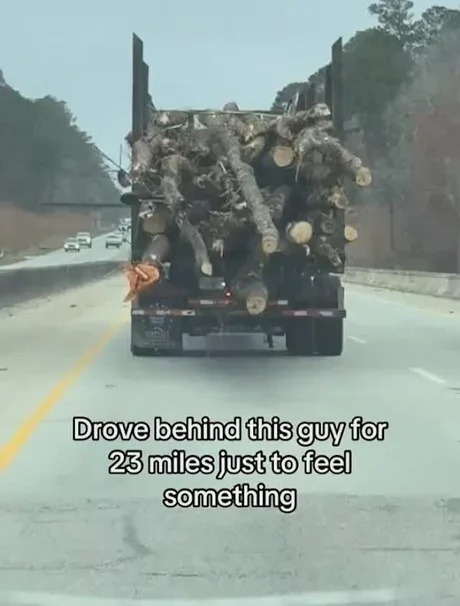 Followed this guy for 23 miles just to feel alive - meme