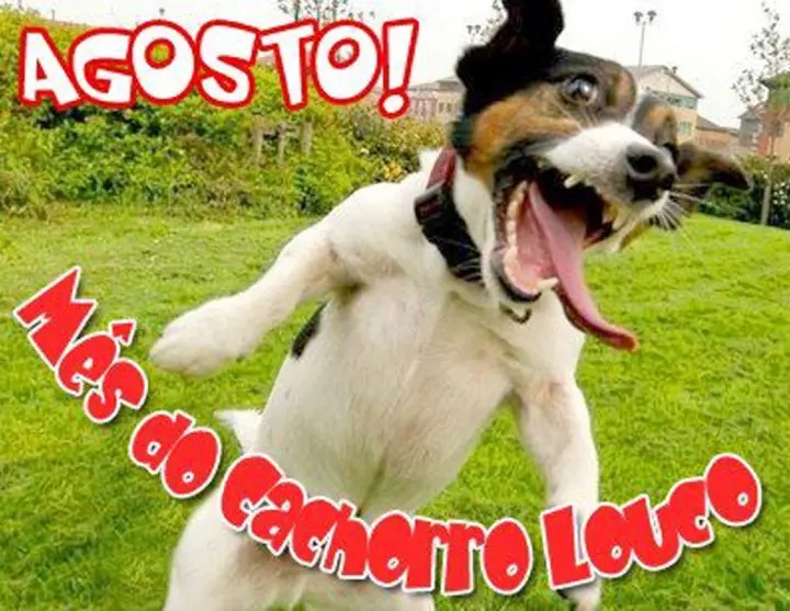 Agosto chegou!!!!!!!!!!!!!!!!!!!!!!!!!!!!!!!!!!!!!!!!!!!!!!!!!!!!!!!!!!!!!!!!!!!!!!!!!!!!!!!!!!!!!!!!!!!!!!!!!!!!!!!!!!!!!!!!!!!!!!!!!!!!!!!!!!!!!!!!!!!!!!!!!!!!!!!! - meme