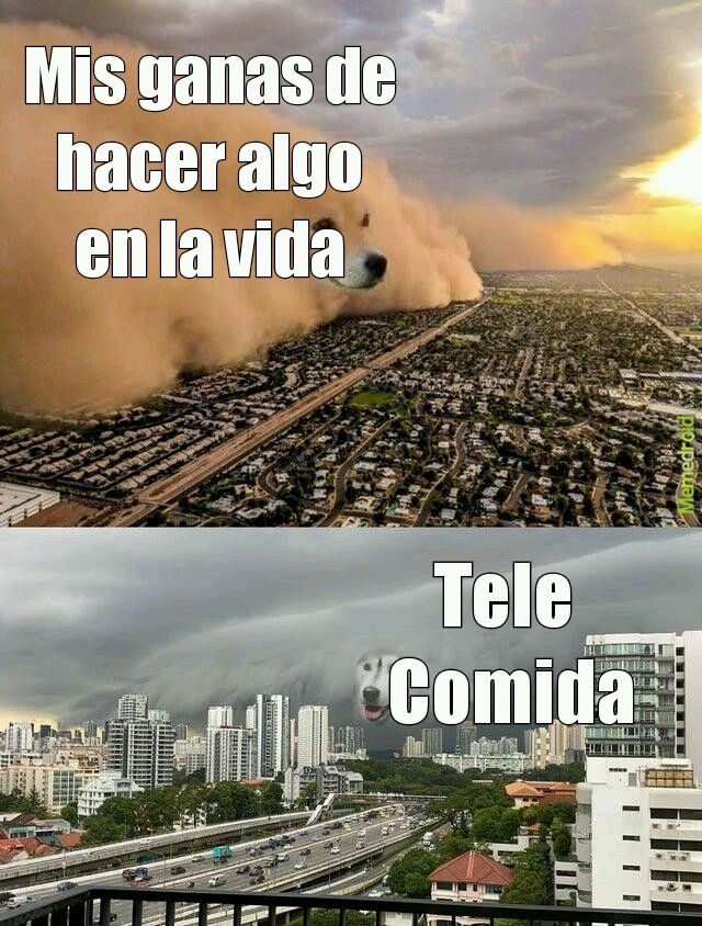 XD no se qué hacer rechazen esto - meme