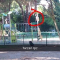 tarzan return au parc