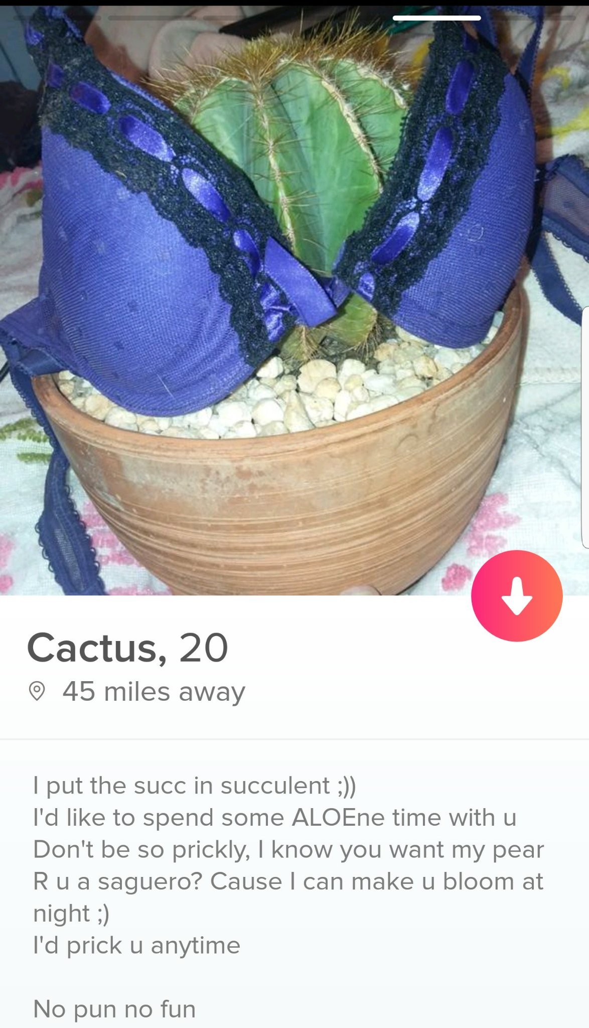Cactus Thicc AF - meme
