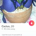 Cactus Thicc AF