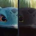 Bulbasaur is just baby toothless