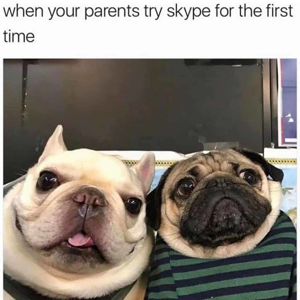 Using skype - meme