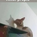commented item thumbnail