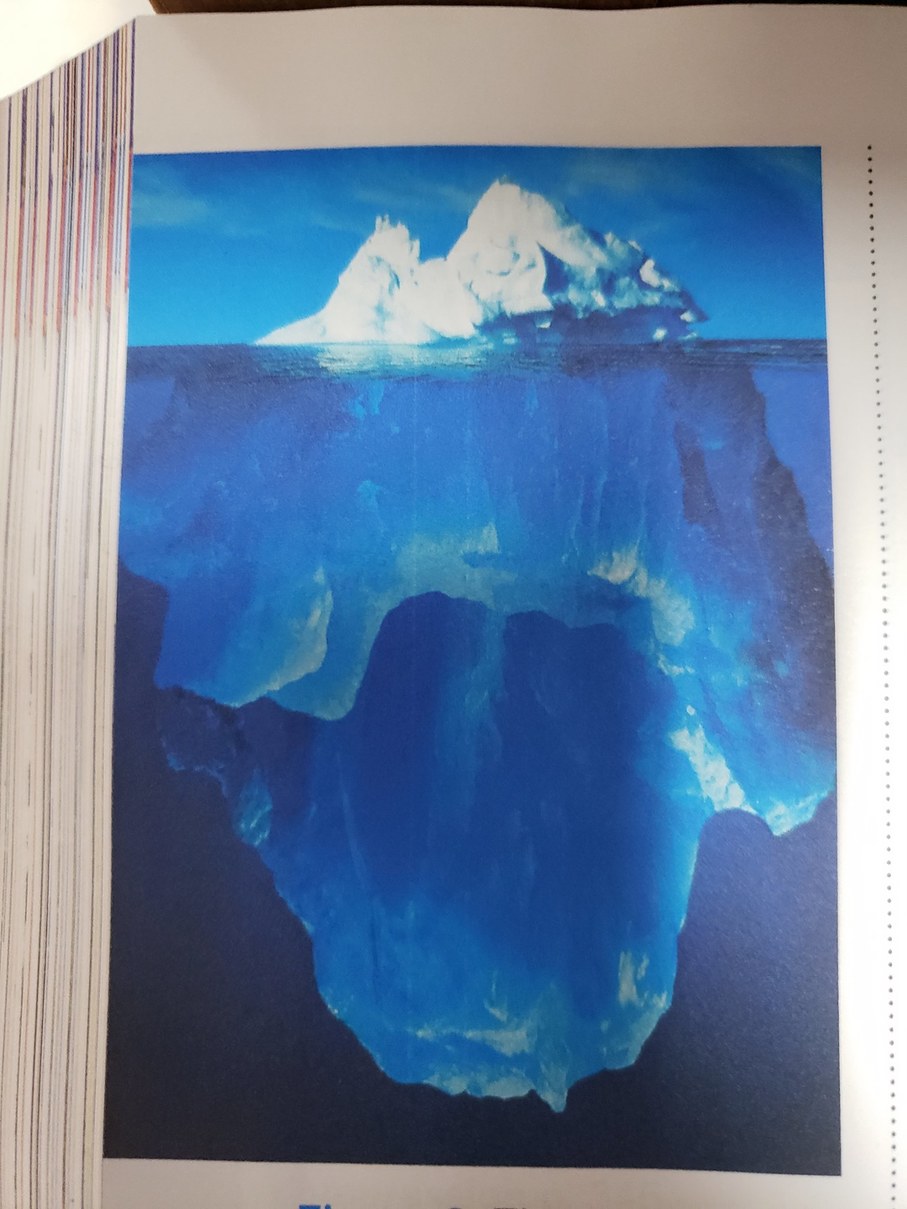 I found the iceberg pic in a science textbook! - meme