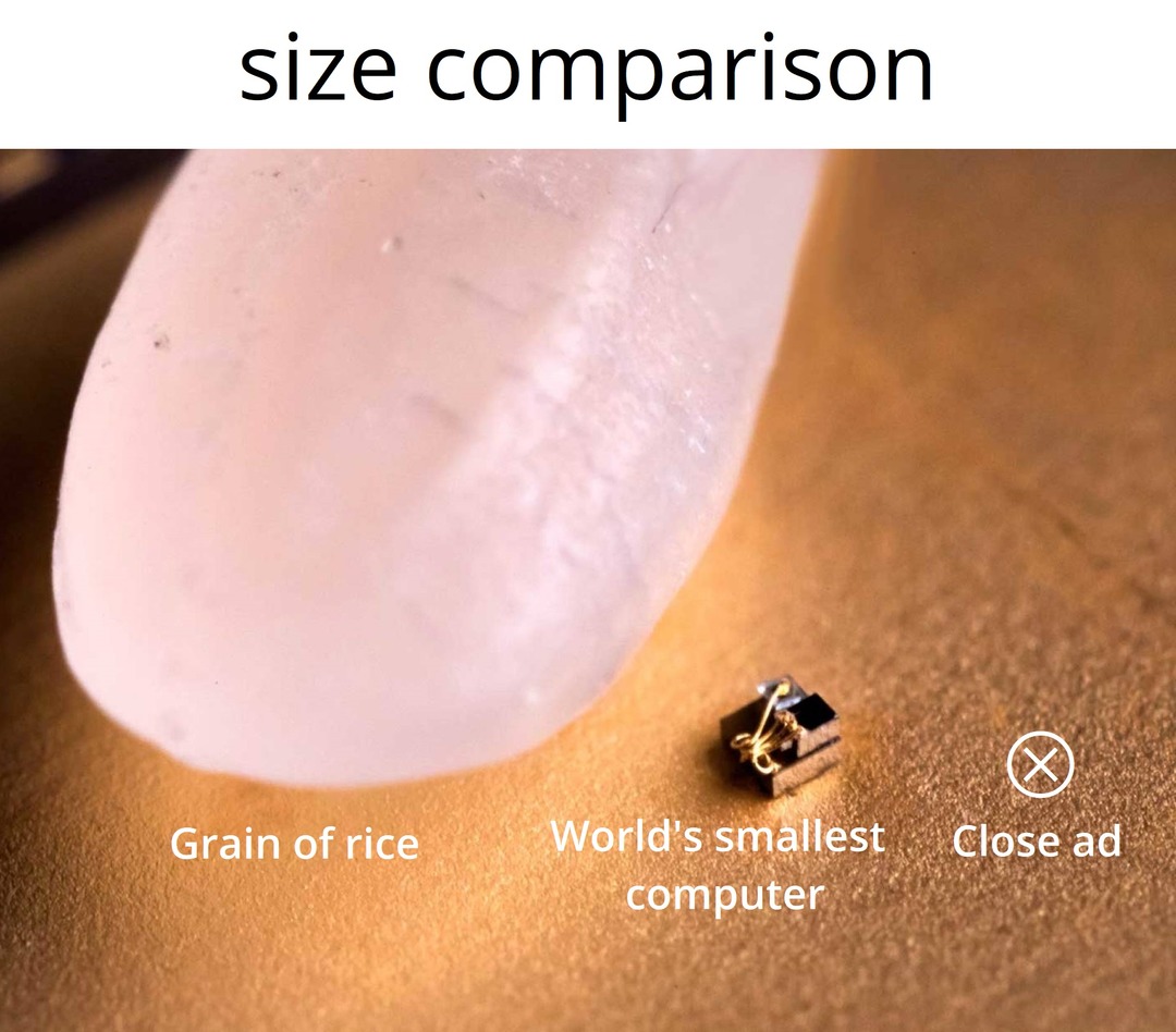 Size comparison - meme