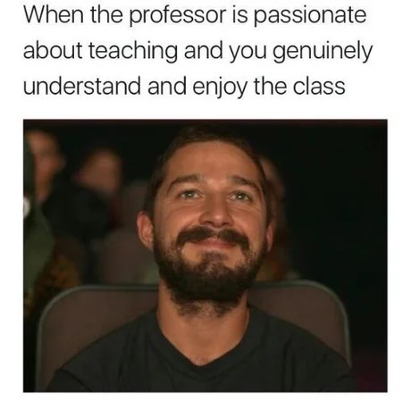 Good teachers exist - meme