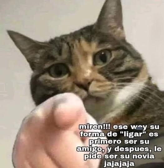 Ligando para san valentin - meme