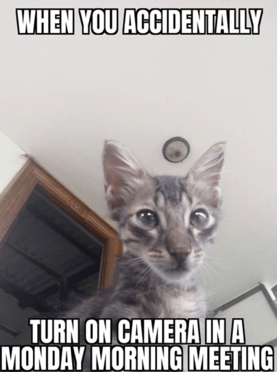 When you open your webcam on Monday morning by accident - meme