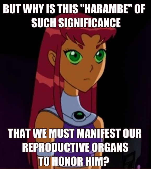 don't take the piss out of everything, starfire! - meme