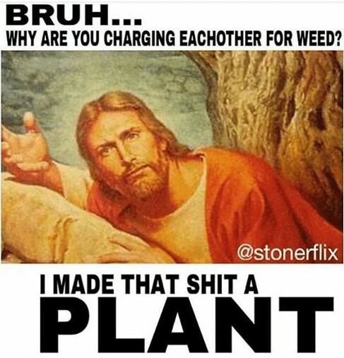 is just a plant bruh - meme