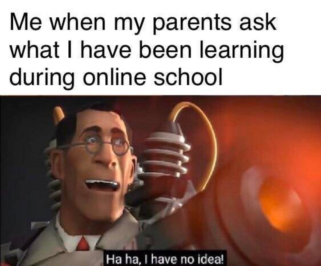 online school is useless - meme