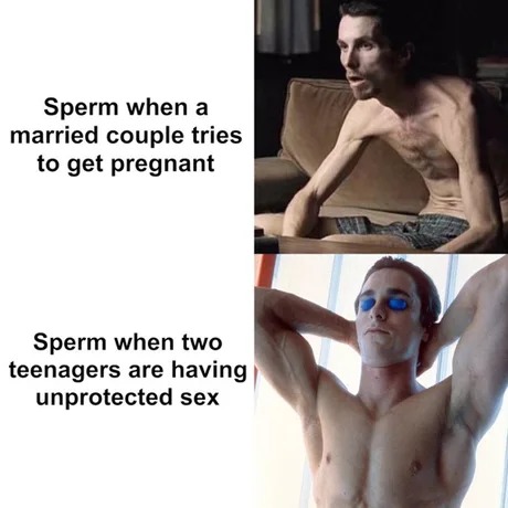 When married couple tries to get pregnant - meme