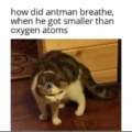 How did antman breath