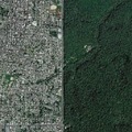 Border between the Brazilian city of Manaus and the Amazon rainforest.