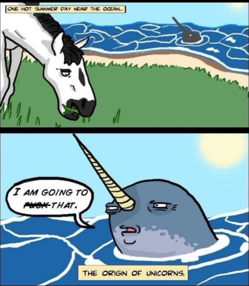 origin of unicorns - meme