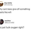 Why can't trees give off something useful like wifi?