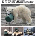 polar bear in a tank