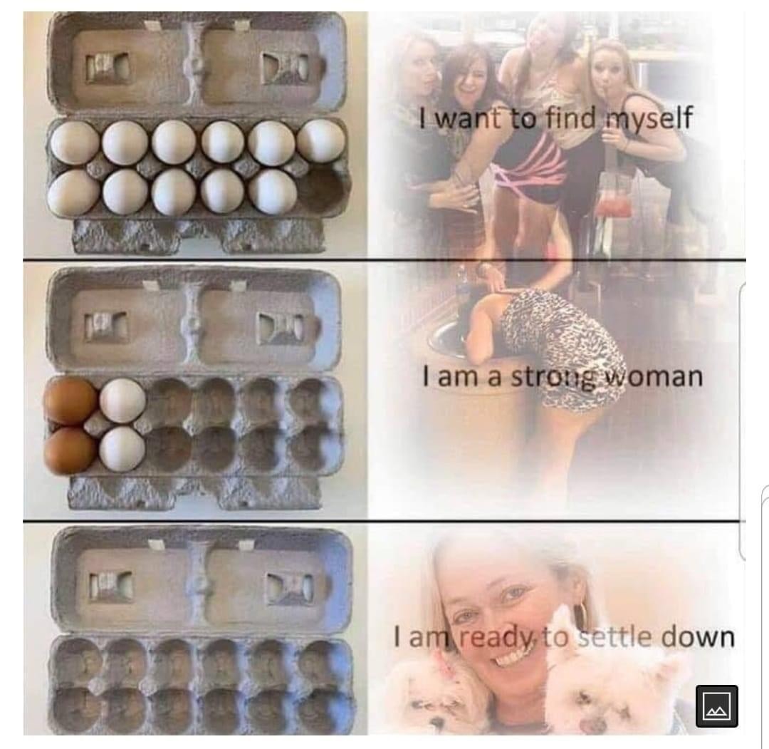Egg carton empty - meme