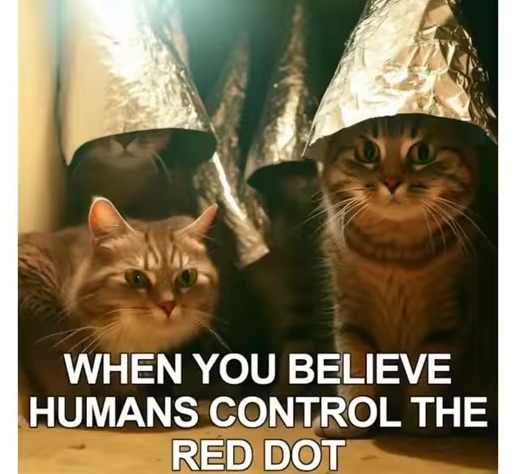 HUMANS CONTROL THE RED DOT!!! HIDE!!! - meme