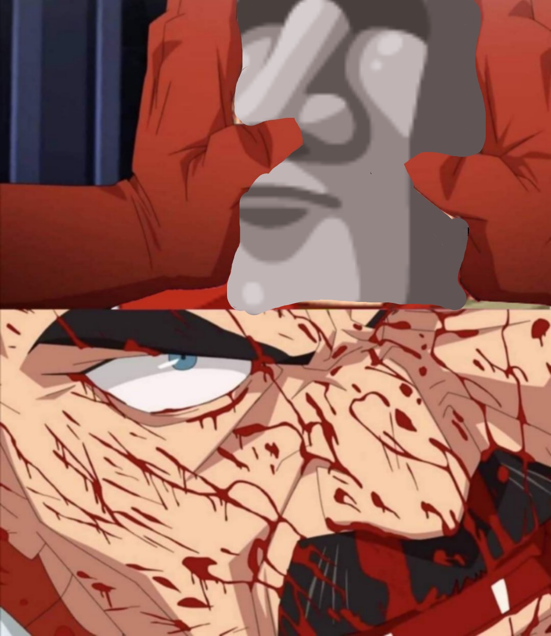 Lo arruinaron todo gracias adios - meme