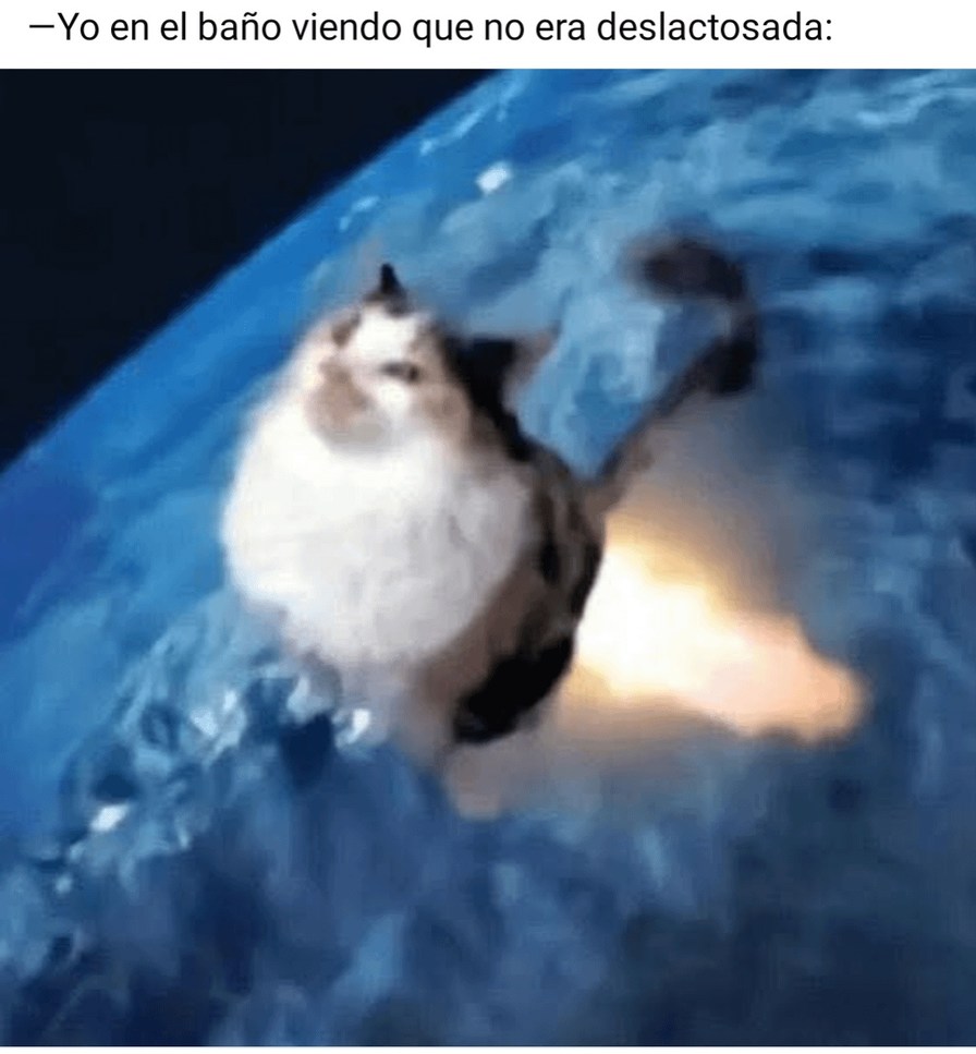 Yo en el baño viendo que no era deslactosada. RIP - meme