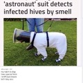 commented item thumbnail