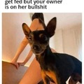 commented item thumbnail