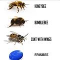 ah the many types of flying honey cunts