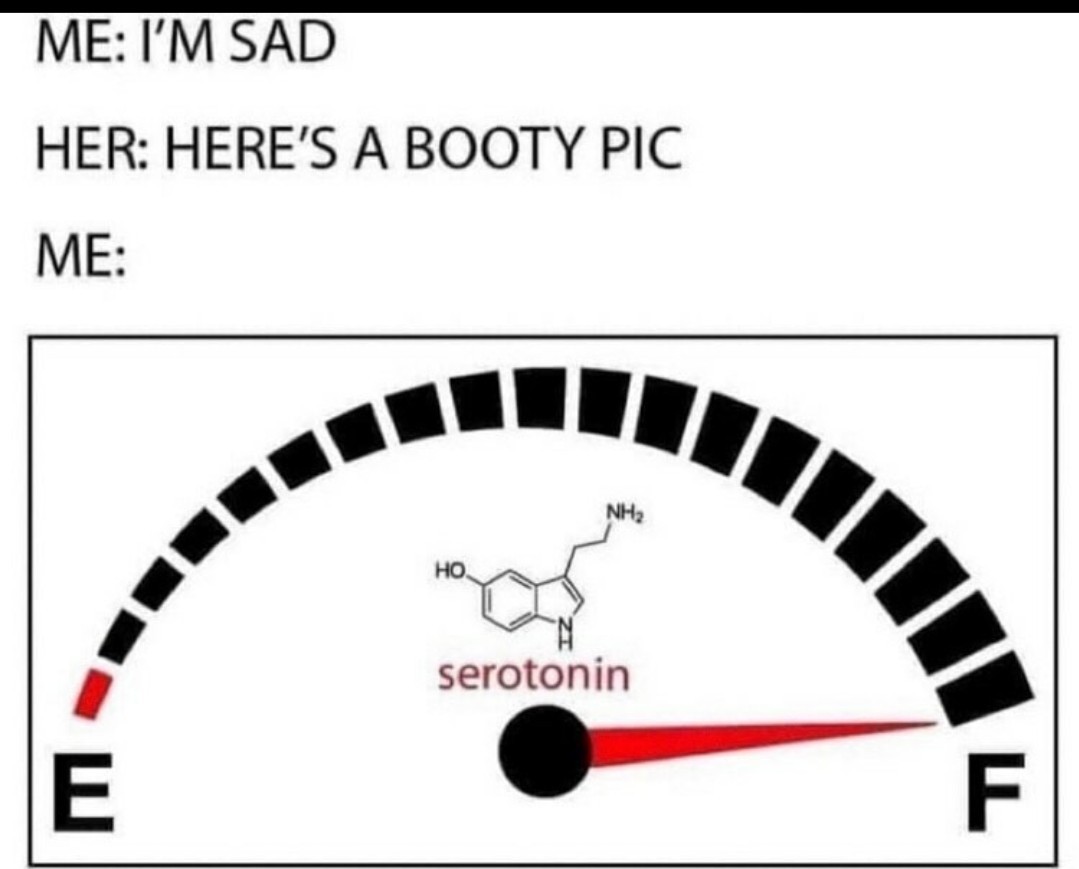 That's how it usually works - meme