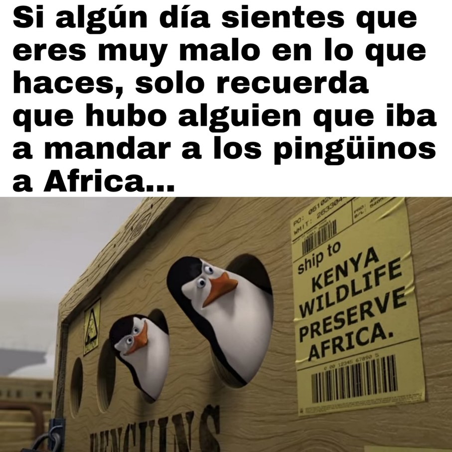 Los pingüinos chads - meme