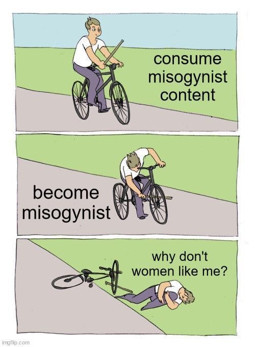 misogynist - meme